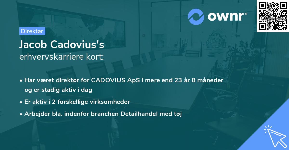 Jacob Cadovius's erhvervskarriere kort