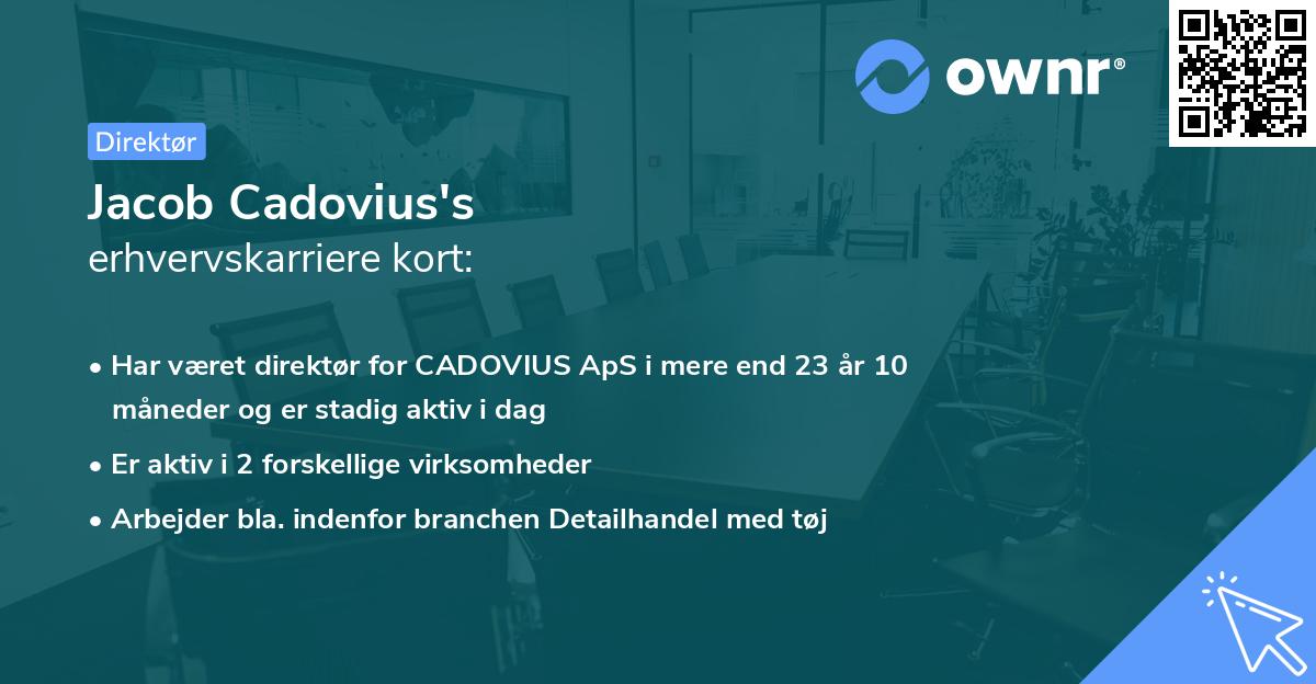 Jacob Cadovius's erhvervskarriere kort