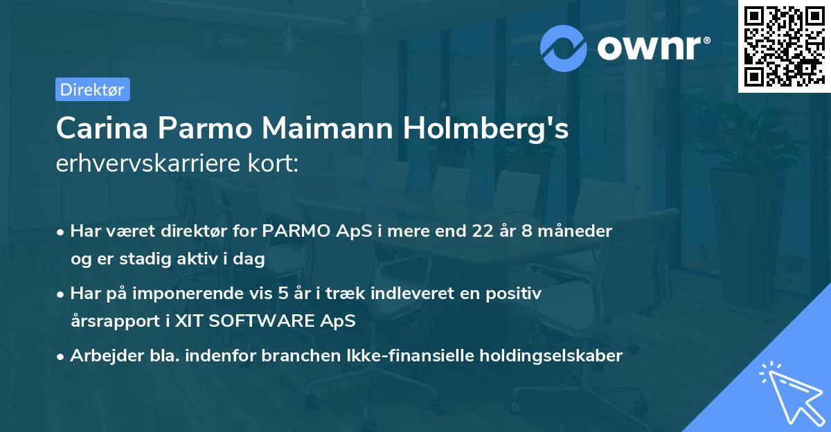 Carina Parmo Maimann Holmberg's erhvervskarriere kort