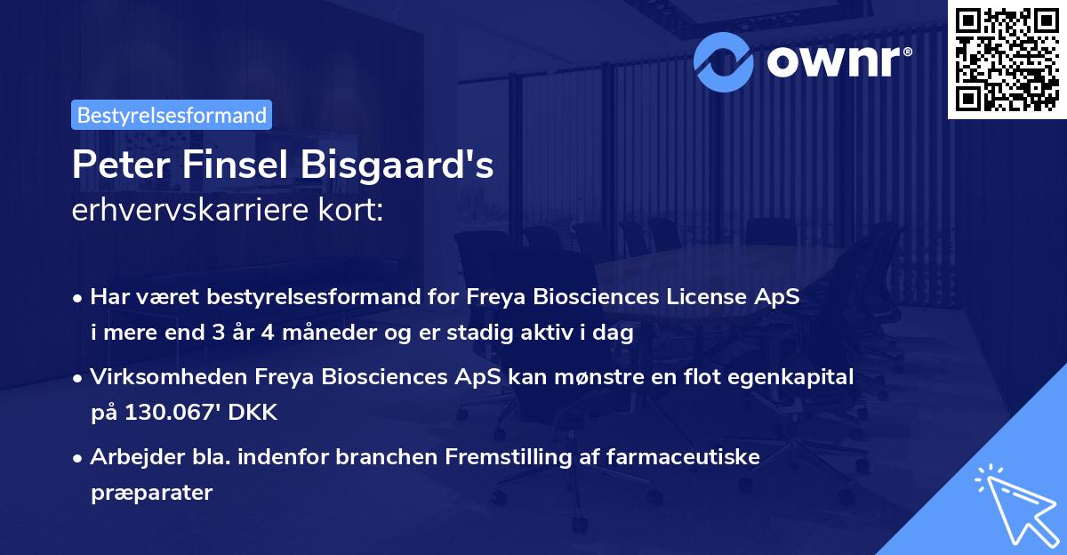 Peter Finsel Bisgaard's erhvervskarriere kort