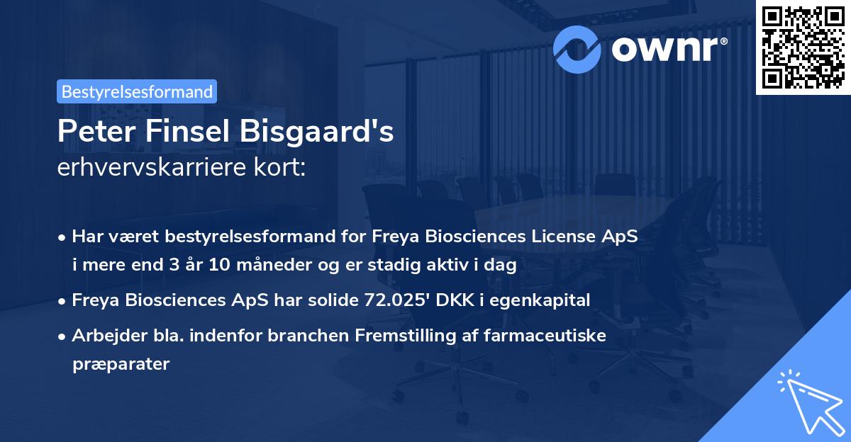 Peter Finsel Bisgaard's erhvervskarriere kort
