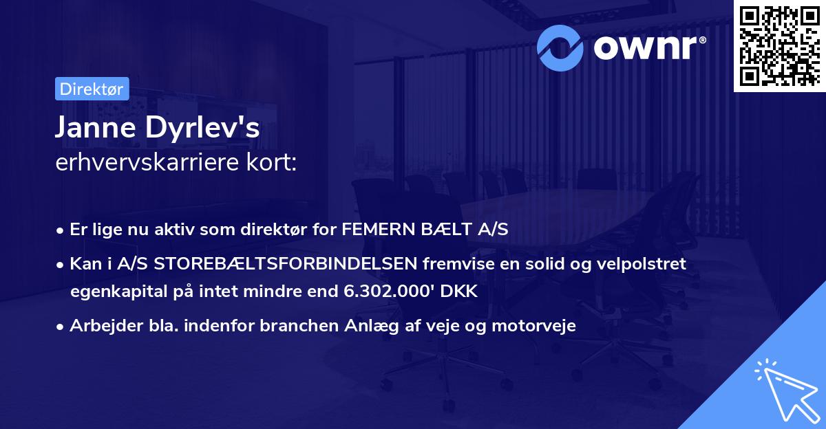 Janne Dyrlev's erhvervskarriere kort