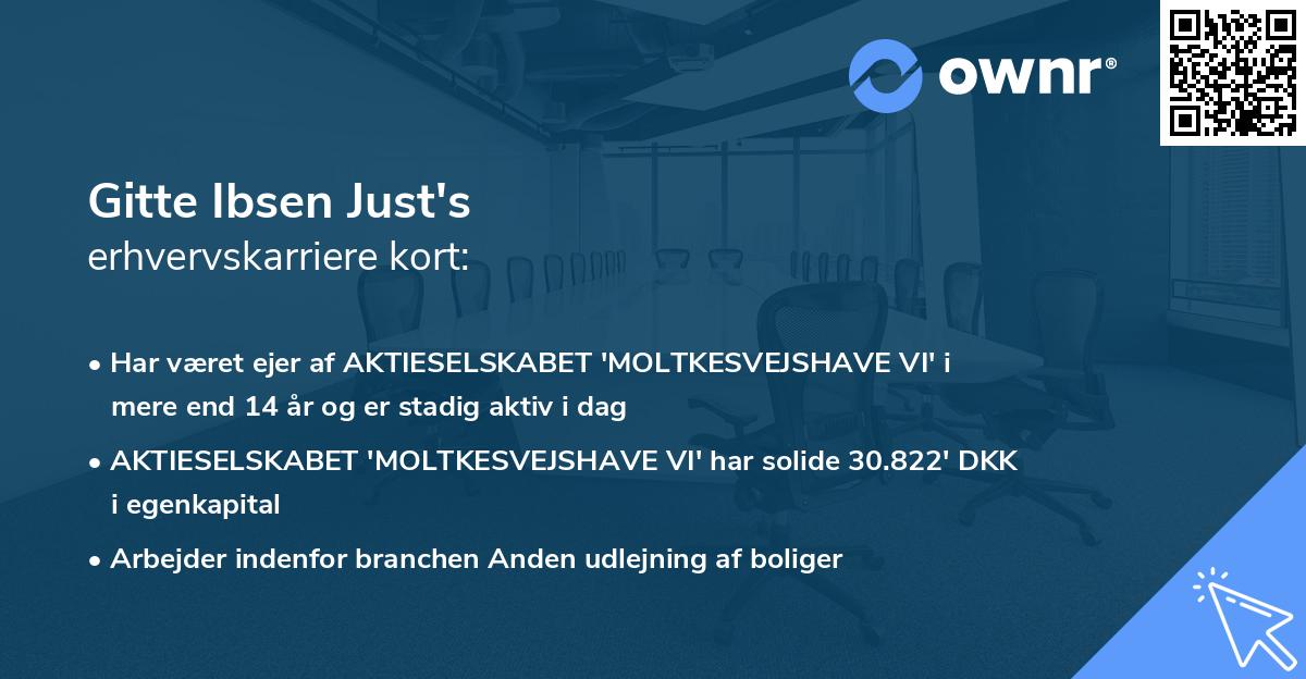 Gitte Ibsen Just's erhvervskarriere kort