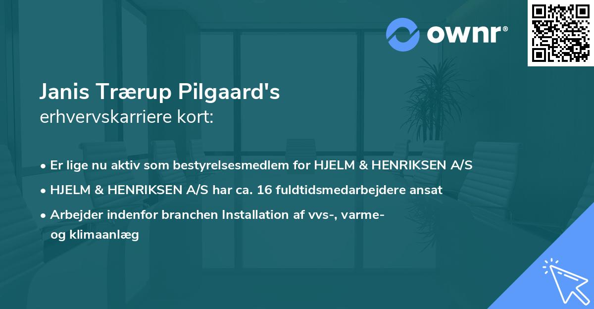 Janis Trærup Pilgaard's erhvervskarriere kort