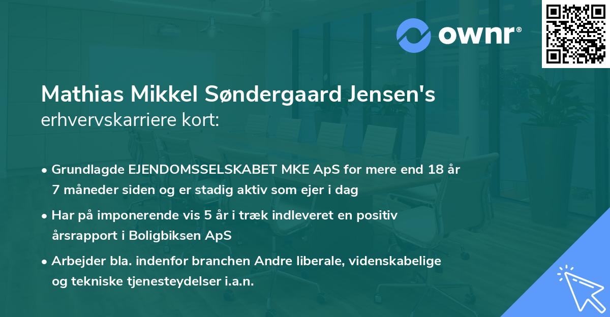 Mathias Mikkel Søndergaard Jensen's erhvervskarriere kort