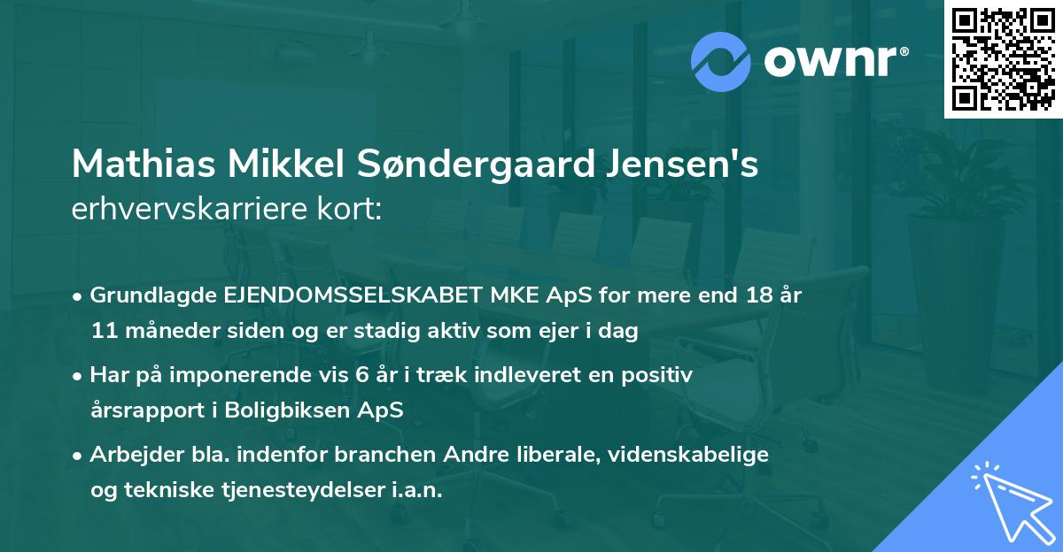 Mathias Mikkel Søndergaard Jensen's erhvervskarriere kort
