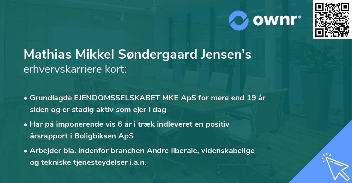 Mathias Mikkel Søndergaard Jensen's erhvervskarriere kort