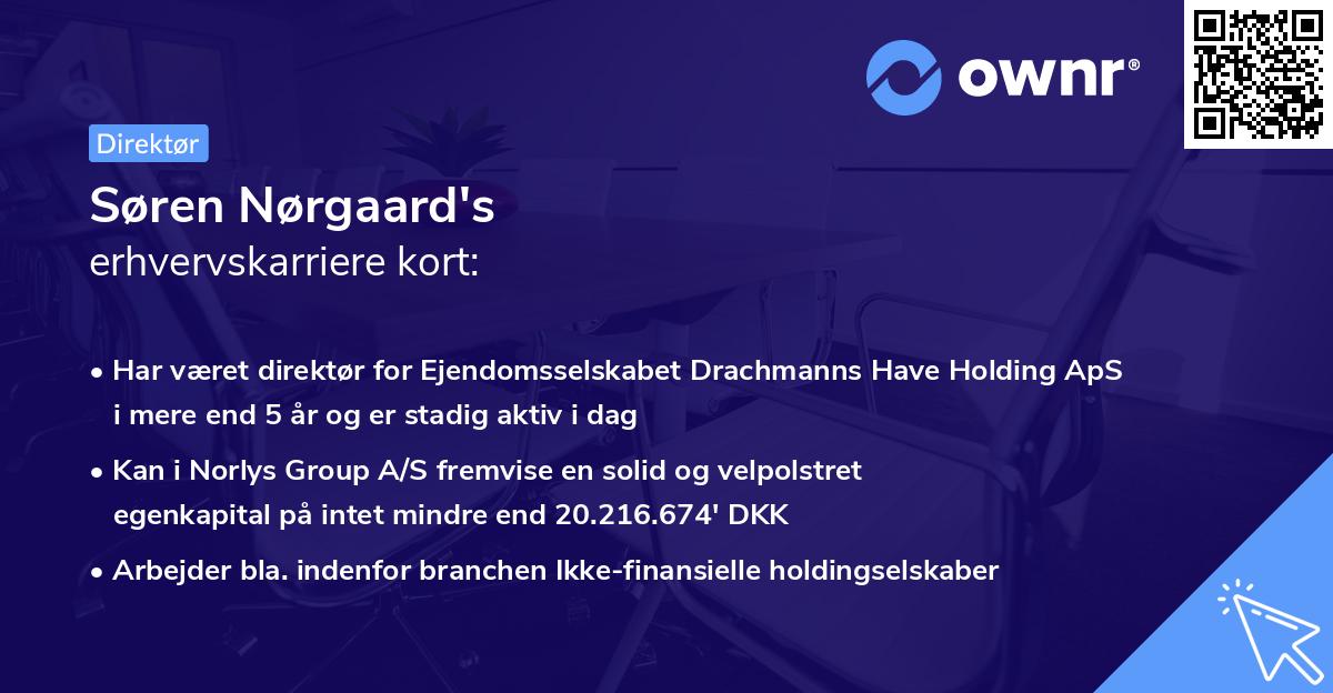 Søren Nørgaard's erhvervskarriere kort