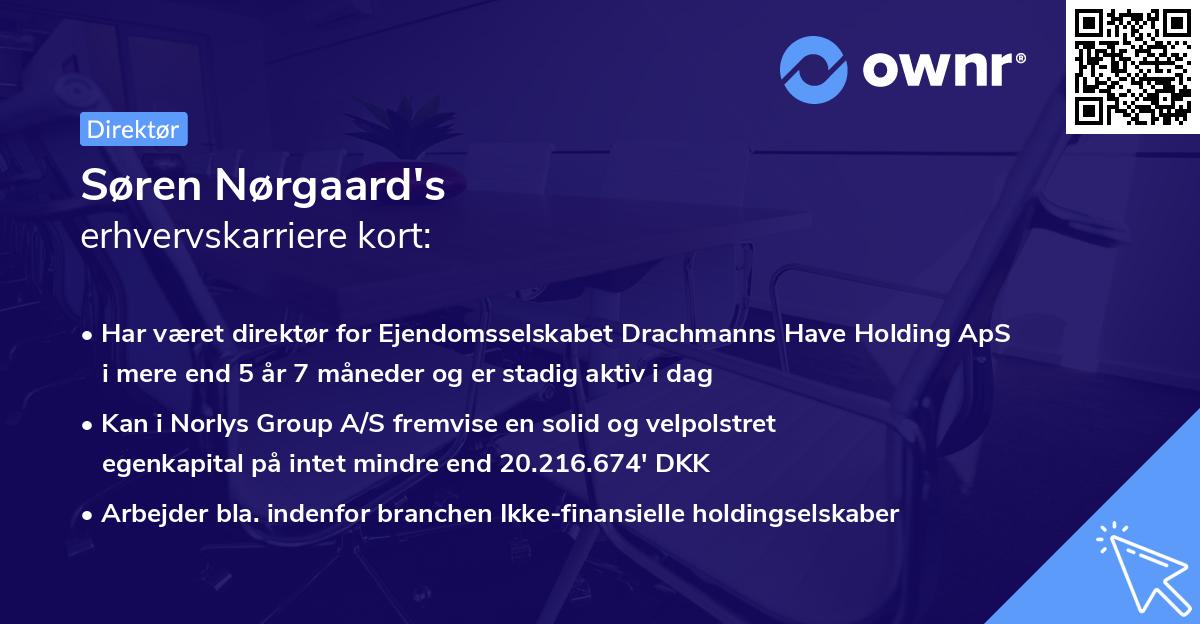 Søren Nørgaard's erhvervskarriere kort