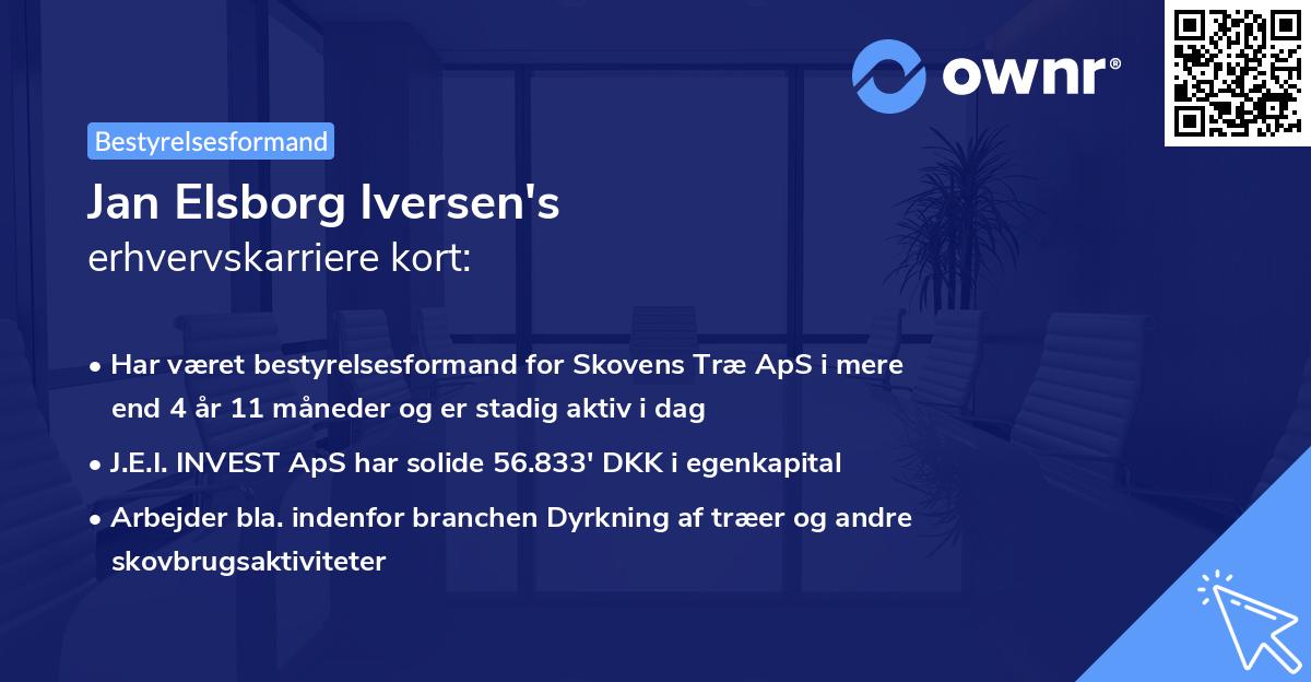 Jan Elsborg Iversen's erhvervskarriere kort