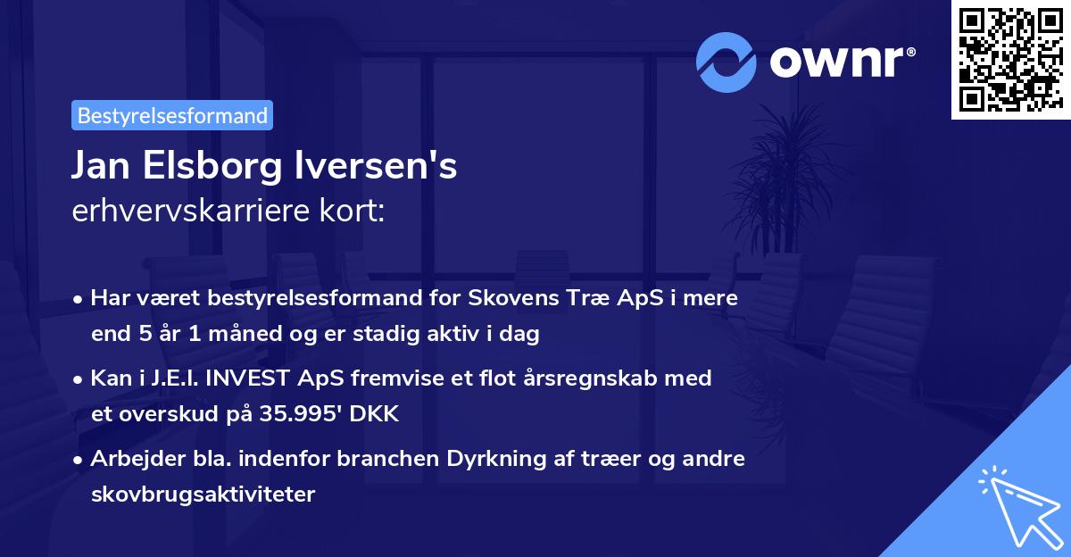Jan Elsborg Iversen's erhvervskarriere kort