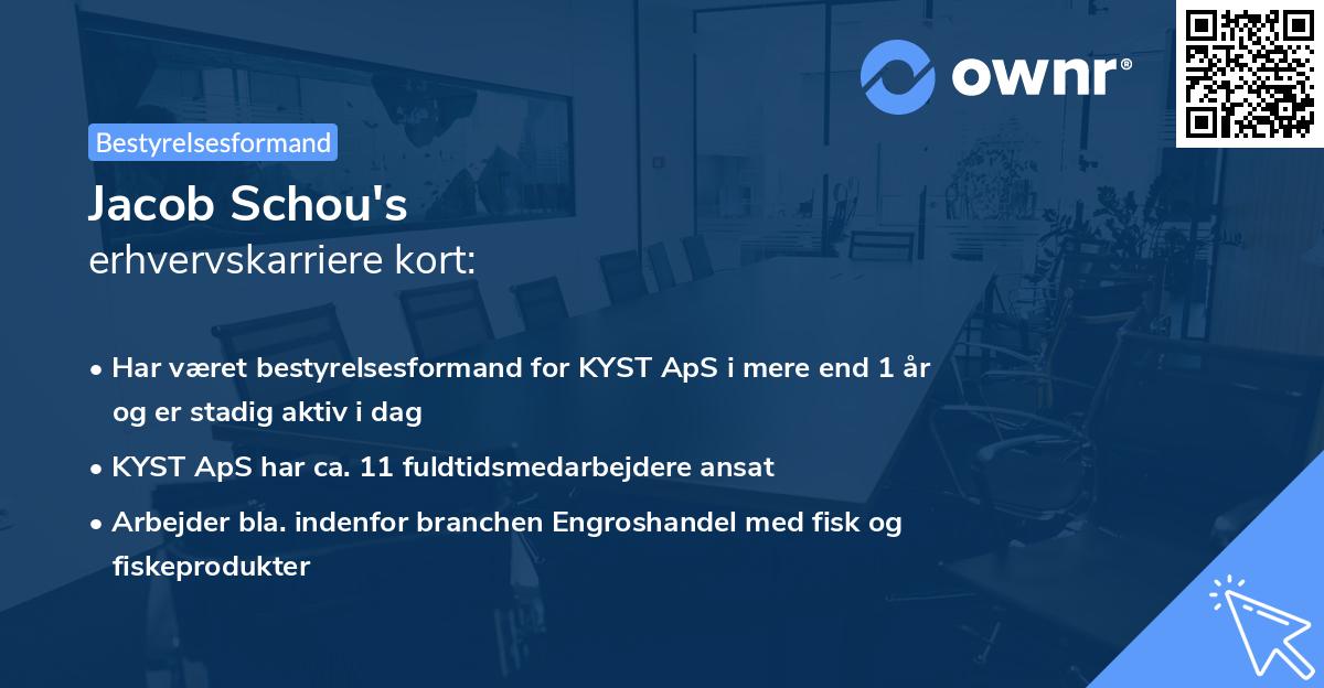 Jacob Schou's erhvervskarriere kort