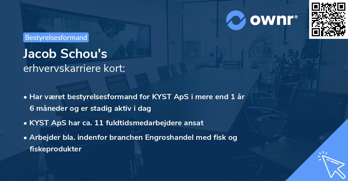 Jacob Schou's erhvervskarriere kort