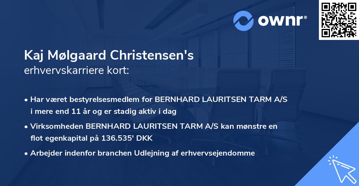 Kaj Mølgaard Christensen's erhvervskarriere kort