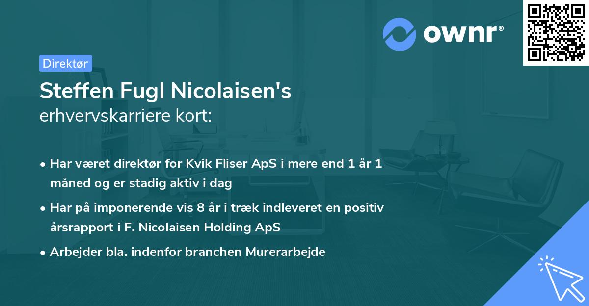 Steffen Fugl Nicolaisen's erhvervskarriere kort