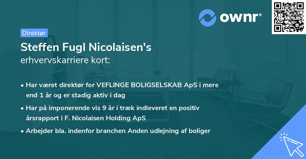 Steffen Fugl Nicolaisen's erhvervskarriere kort