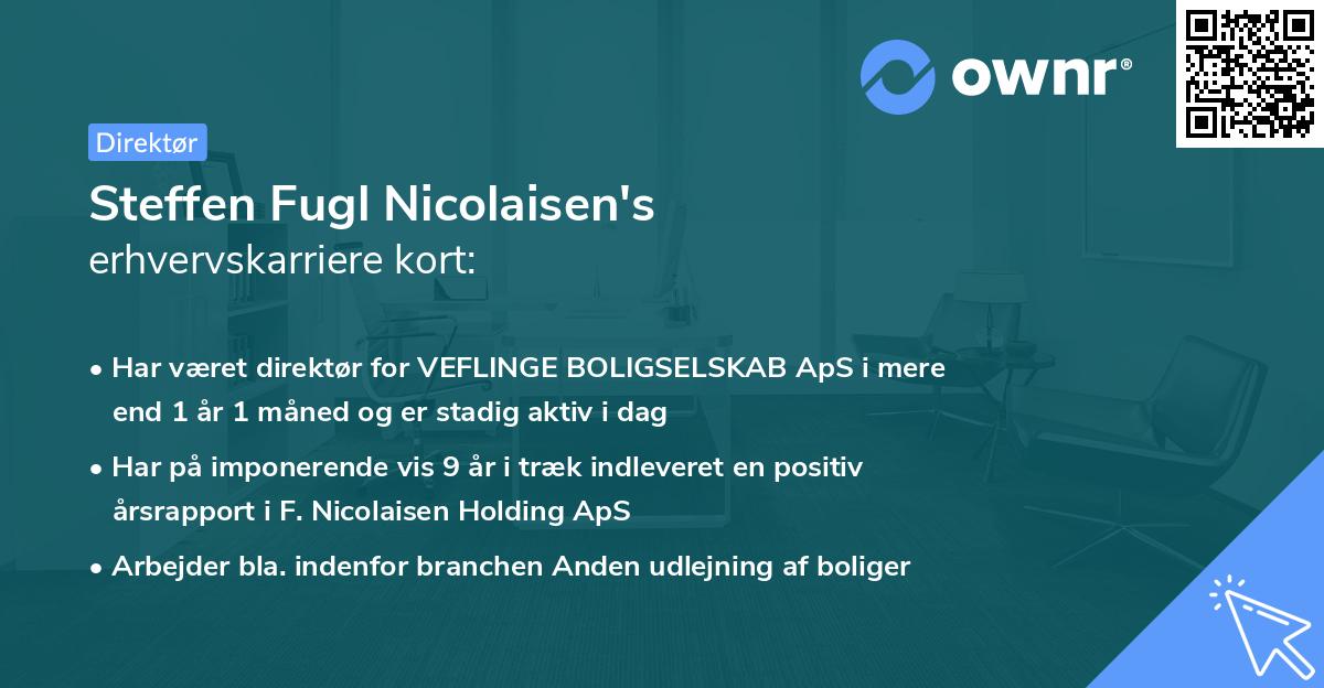 Steffen Fugl Nicolaisen's erhvervskarriere kort