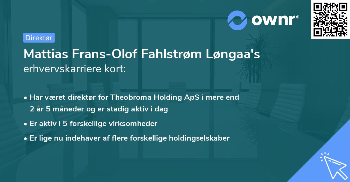 Mattias Frans-Olof Fahlstrøm Løngaa's erhvervskarriere kort