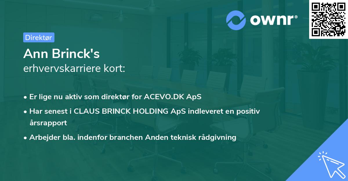 Ann Brinck's erhvervskarriere kort