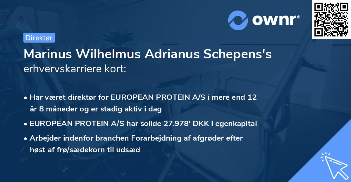 Marinus Wilhelmus Adrianus Schepens's erhvervskarriere kort