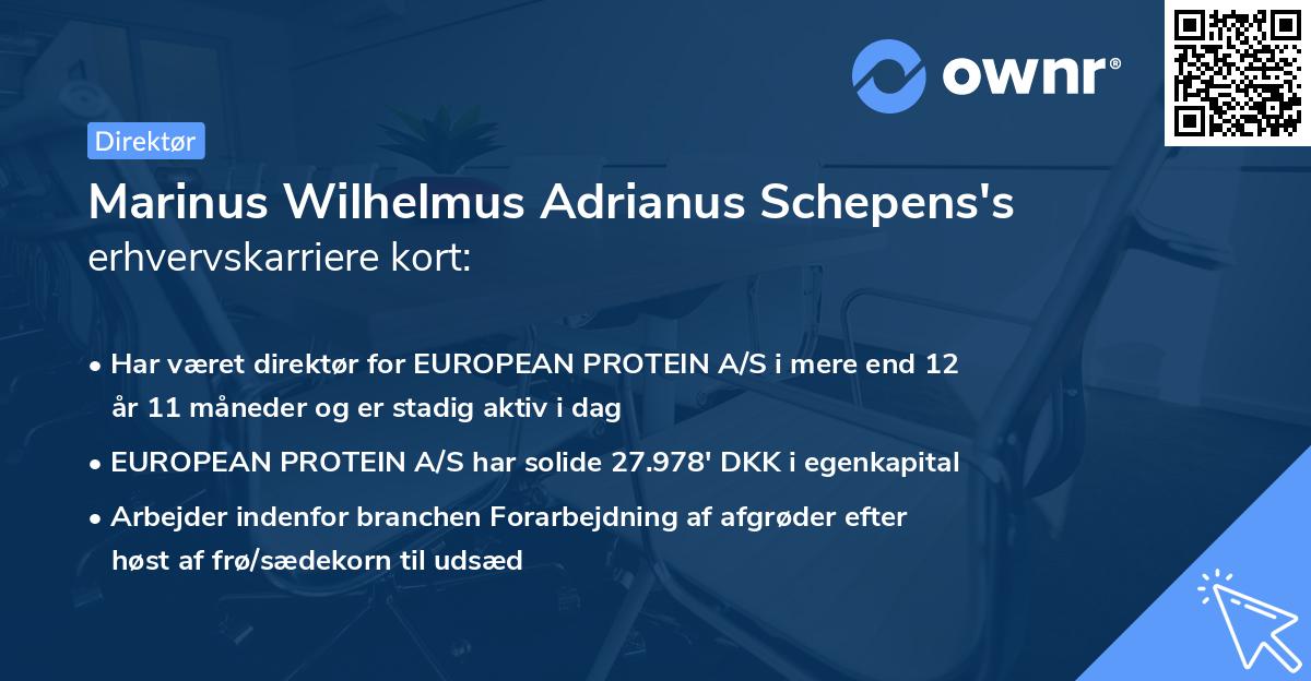 Marinus Wilhelmus Adrianus Schepens's erhvervskarriere kort