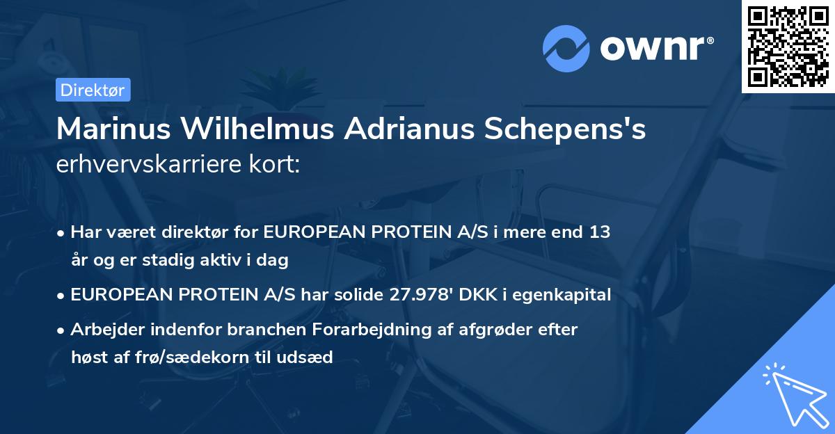 Marinus Wilhelmus Adrianus Schepens's erhvervskarriere kort