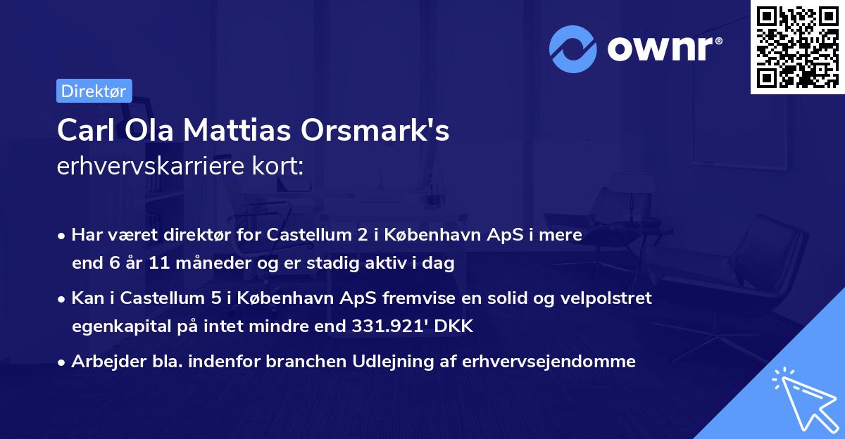 Carl Ola Mattias Orsmark's erhvervskarriere kort