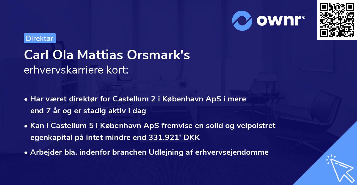 Carl Ola Mattias Orsmark's erhvervskarriere kort