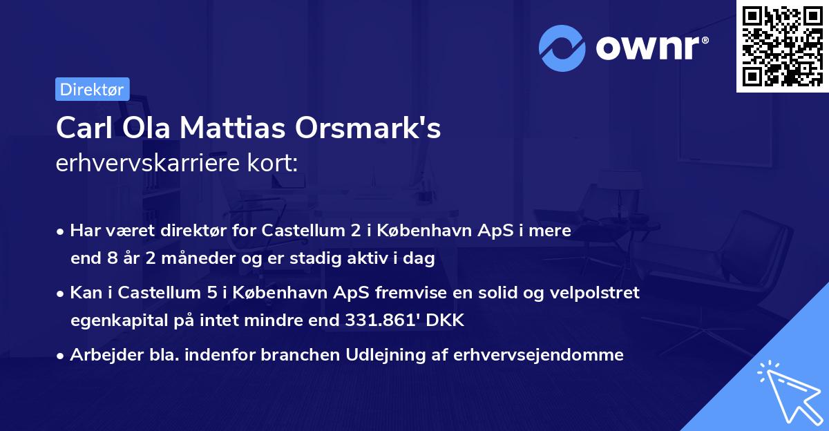 Carl Ola Mattias Orsmark's erhvervskarriere kort