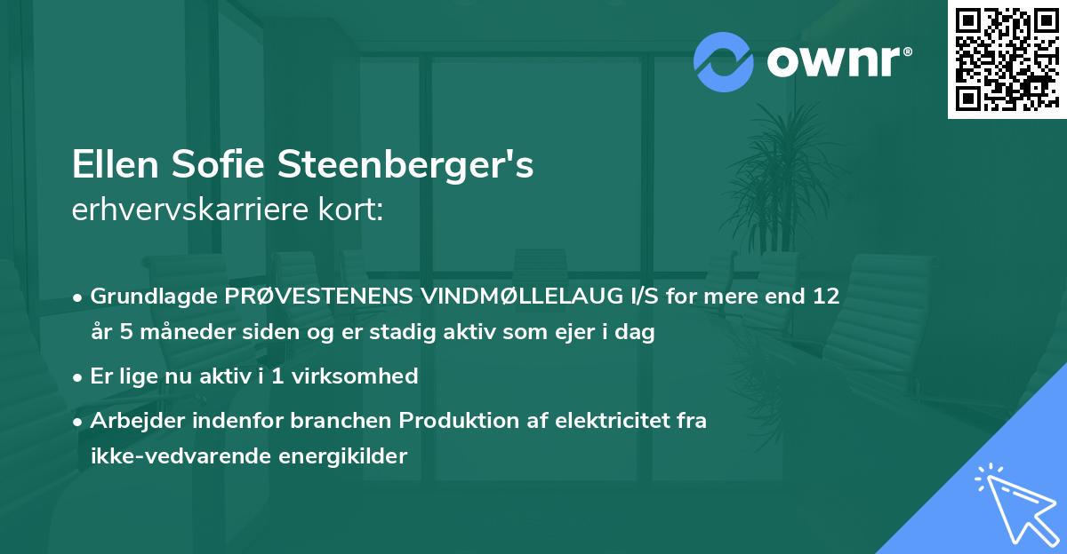 Ellen Sofie Steenberger's erhvervskarriere kort