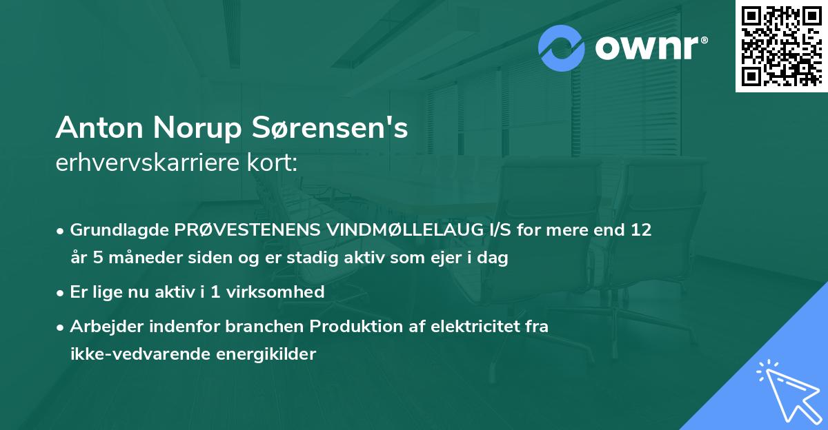 Anton Norup Sørensen's erhvervskarriere kort