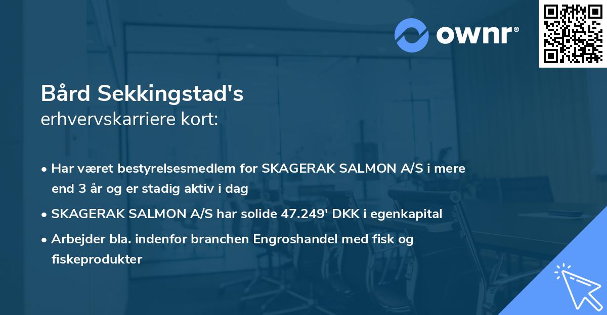 Bård Sekkingstad's erhvervskarriere kort