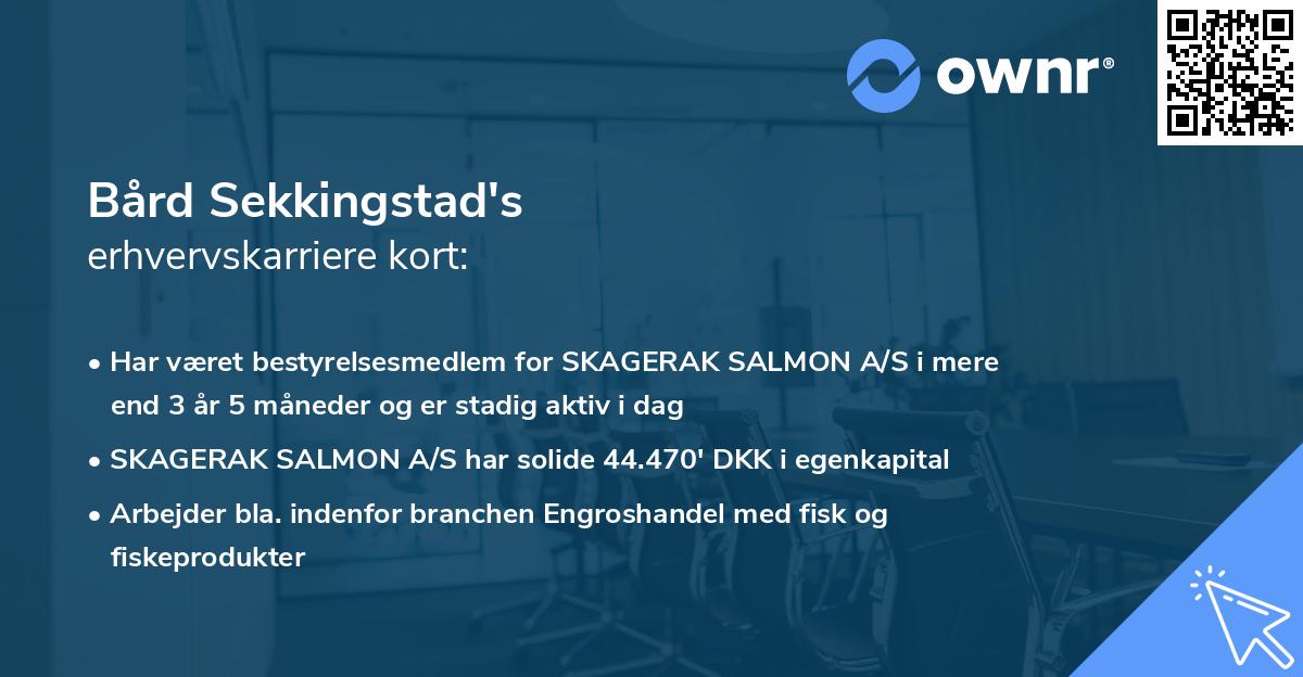Bård Sekkingstad's erhvervskarriere kort