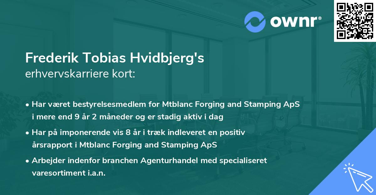 Frederik Tobias Hvidbjerg's erhvervskarriere kort