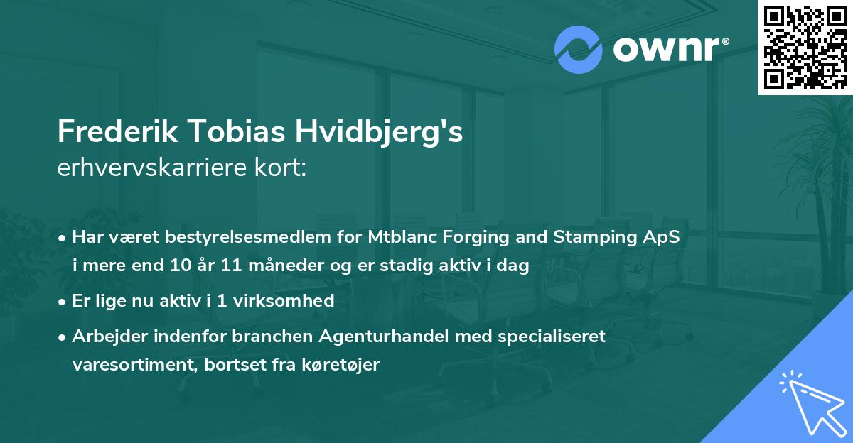 Frederik Tobias Hvidbjerg's erhvervskarriere kort