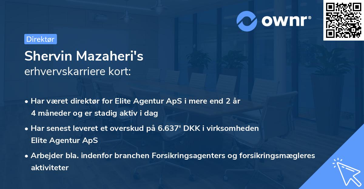 Shervin Mazaheri's erhvervskarriere kort