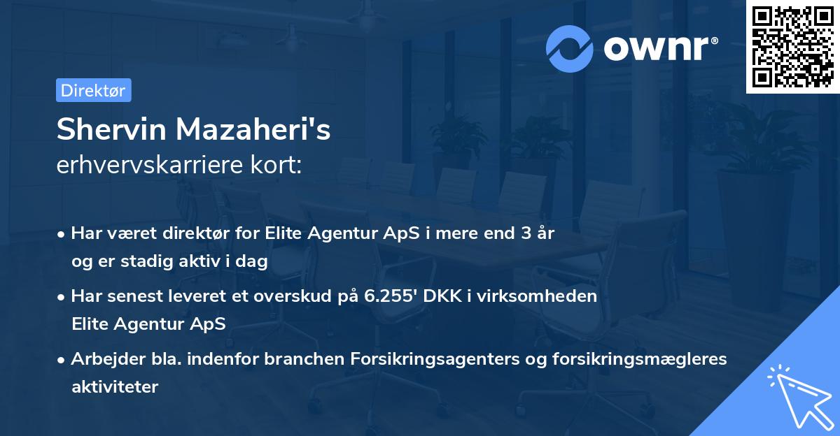 Shervin Mazaheri's erhvervskarriere kort
