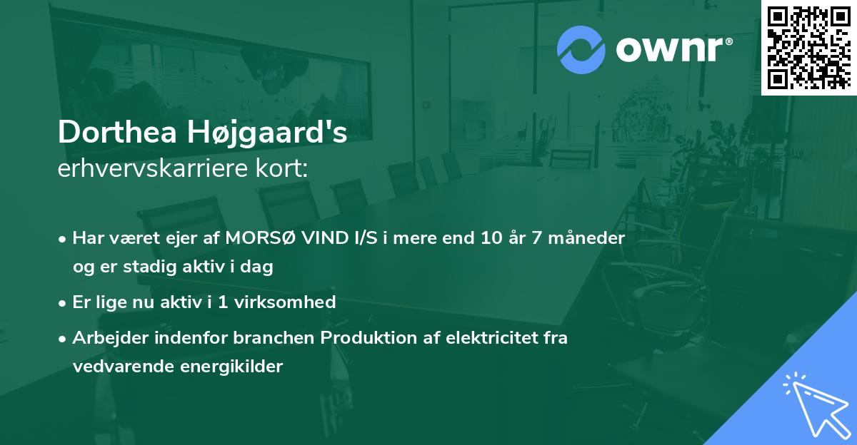 Dorthea Højgaard's erhvervskarriere kort