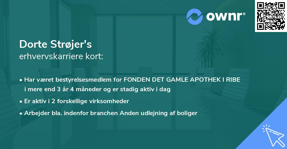 Dorte Strøjer's erhvervskarriere kort