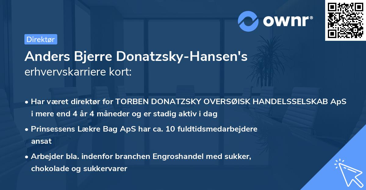 Anders Bjerre Donatzsky-Hansen's erhvervskarriere kort