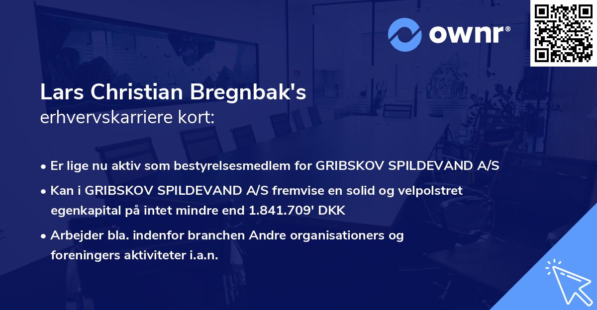 Lars Christian Bregnbak's erhvervskarriere kort