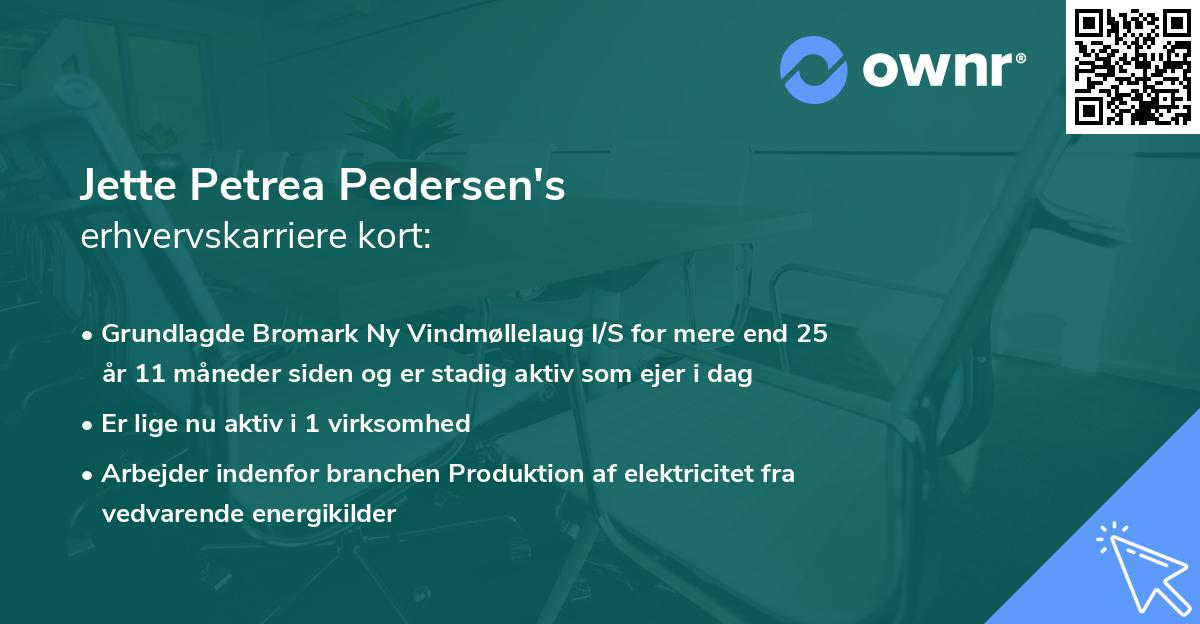 Jette Petrea Pedersen's erhvervskarriere kort