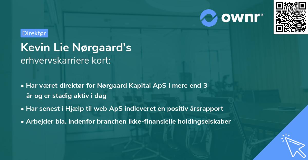 Kevin Lie Nørgaard's erhvervskarriere kort