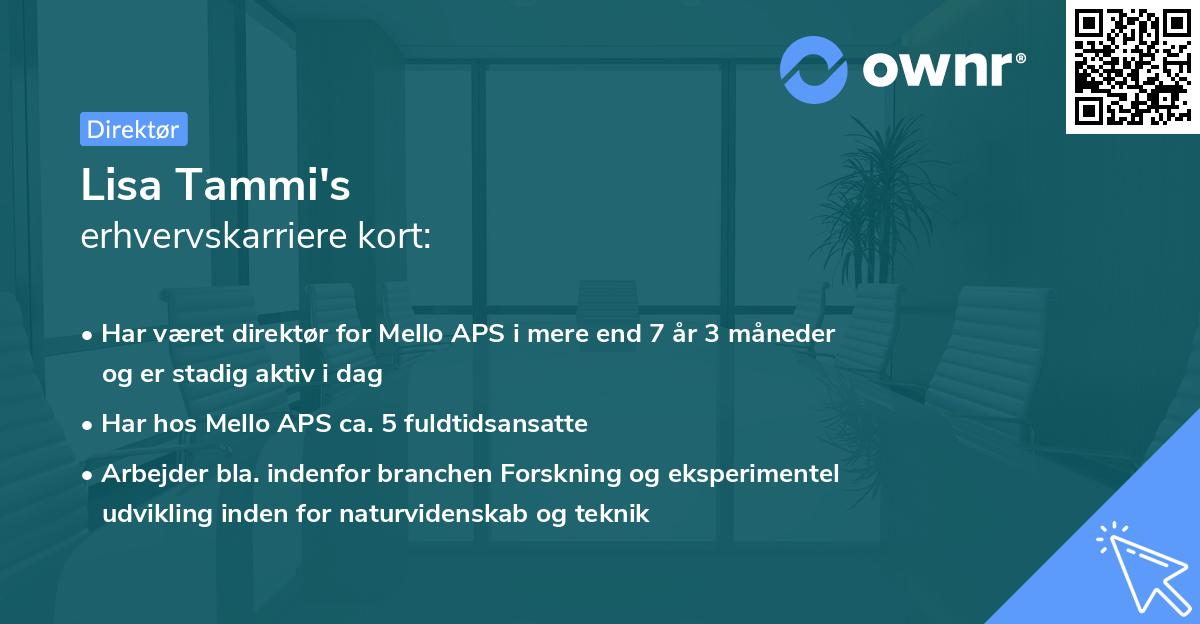 Lisa Tammi's erhvervskarriere kort