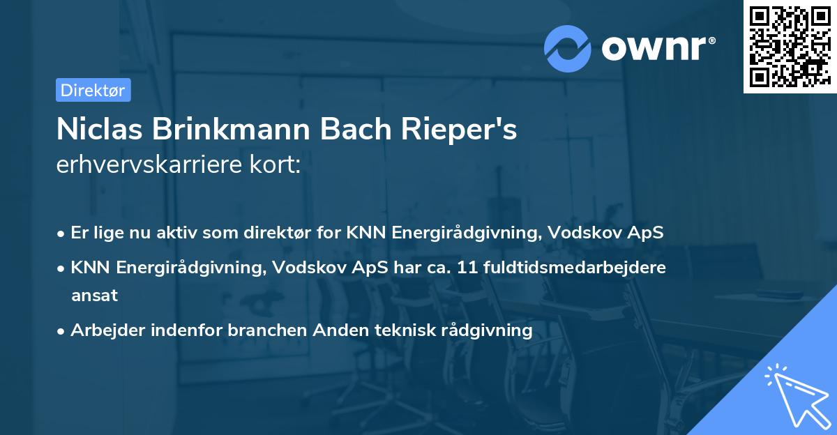 Niclas Brinkmann Bach Rieper's erhvervskarriere kort