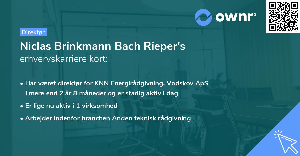 Niclas Brinkmann Bach Rieper's erhvervskarriere kort