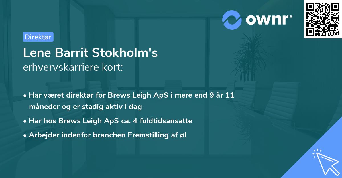 Lene Barrit Stokholm's erhvervskarriere kort