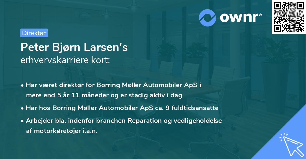Peter Bjørn Larsen's erhvervskarriere kort