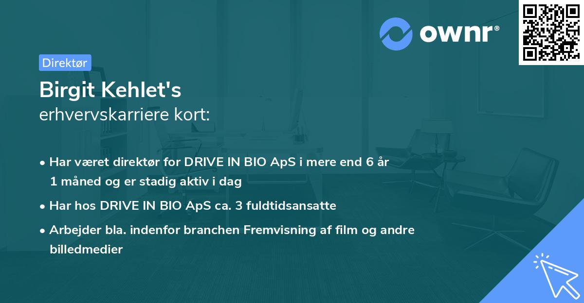Birgit Kehlet's erhvervskarriere kort