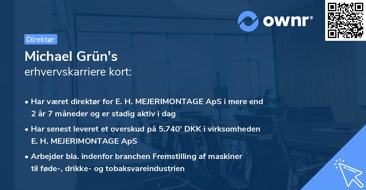 Michael Grün's erhvervskarriere kort